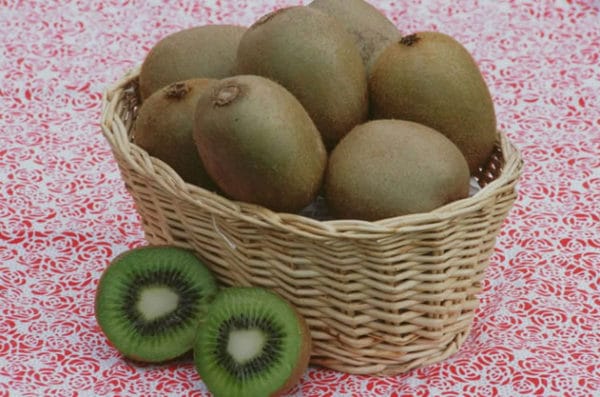 panier kiwis verts