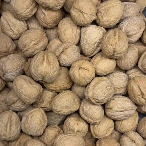 noix