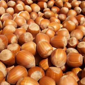 noisette
