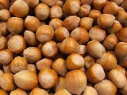 noisette
